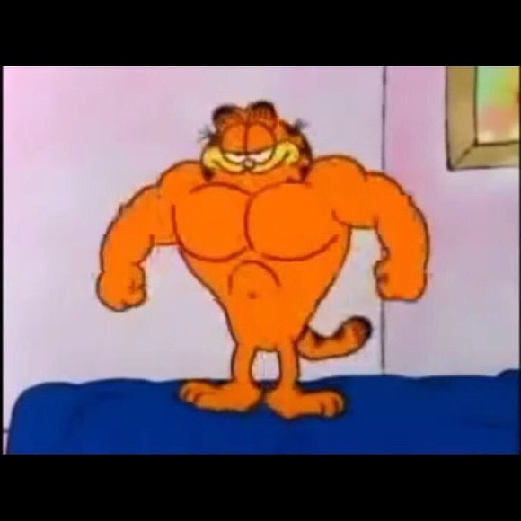 Meet your Posher, Randy - Picture 1 of 1